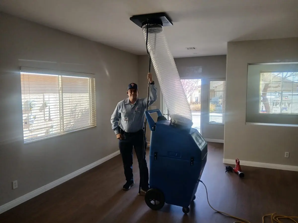 Professional Dryer Vent Cleaning work inside a Alden home